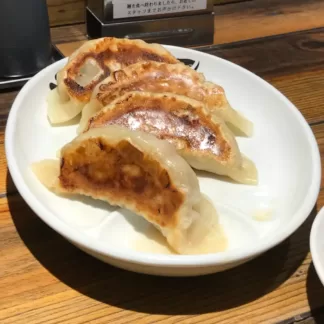 Gyoza Frango e Legumes / Chicken and Vegetables Gyoza (2 Uni)
