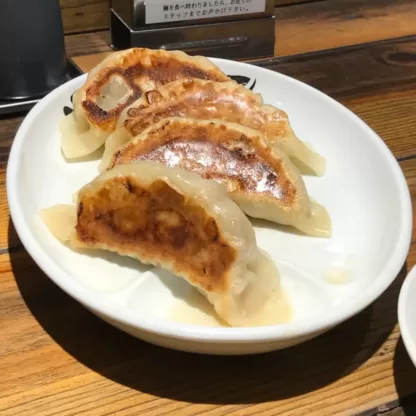 Gyoza Frango e Legumes / Chicken and Vegetables Gyoza (2 Uni)